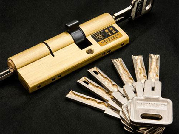 桐鄉開指紋鎖(正規的換鎖公司)